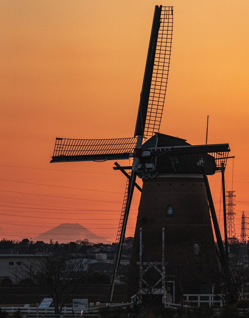 春の夕陽