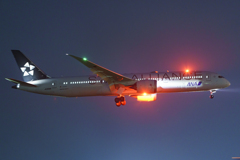 STAR ALLIANCE