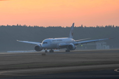 成田空港