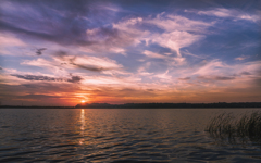 西印旛沼夕景