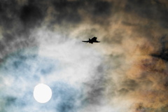 F－４