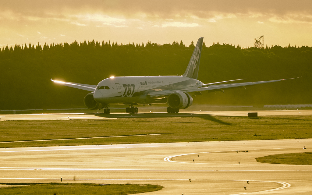 787の朝