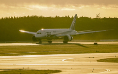 787の朝