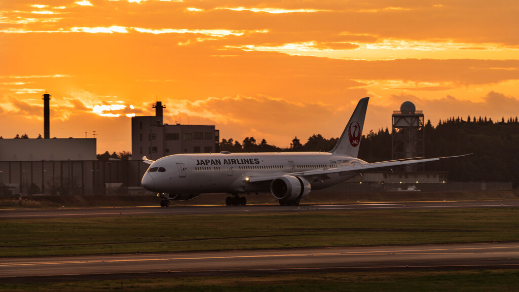 夜明けのJAL