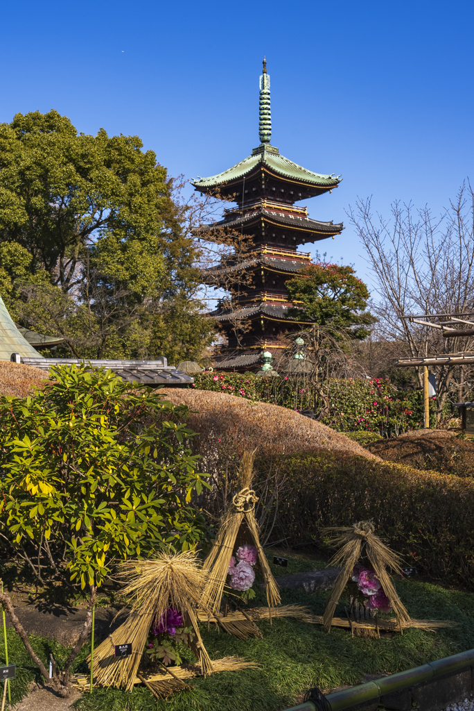 上野東照宮にて