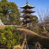上野東照宮にて
