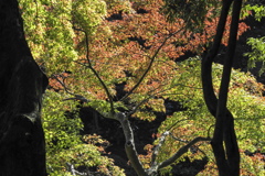 成田山新勝寺にて