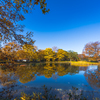 昭和記念公園にて