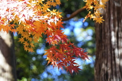 香取神宮にて