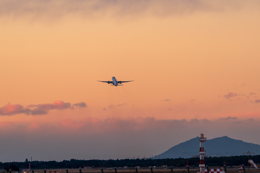 STAR ALLIANCE