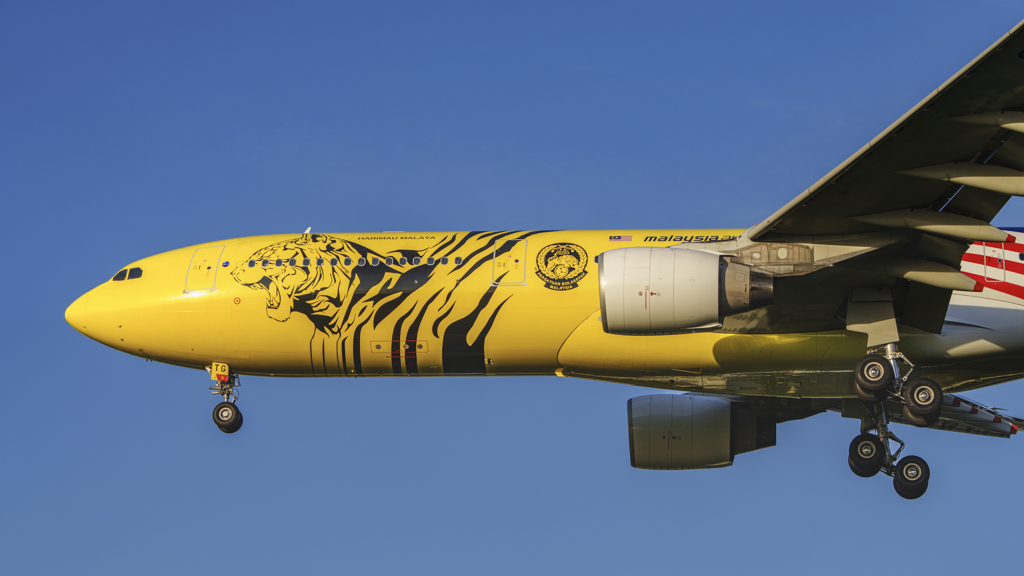 今年は寅年　ガオッ！