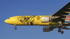 今年は寅年　ガオッ！