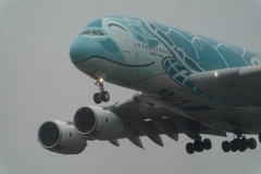 JA382A　カイ君