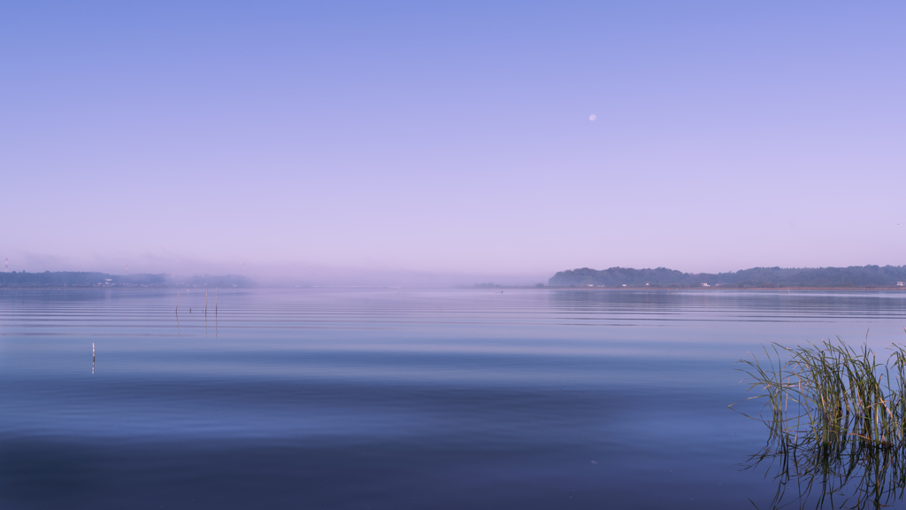 西印旛沼-朝景