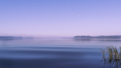 西印旛沼-朝景