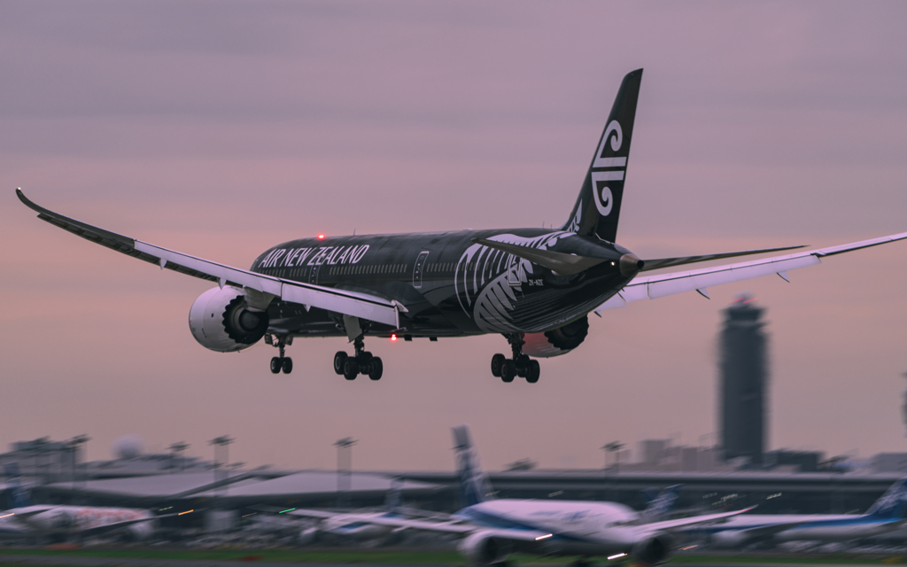 ドン曇りのオールブラックス