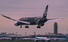 ドン曇りのオールブラックス