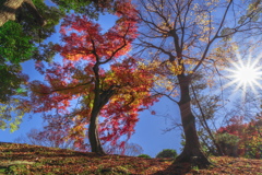 錦秋成田山