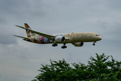 Etihad Airways