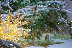 クリスマス