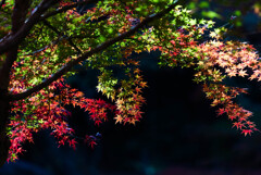 成田山新勝寺