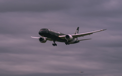 ドン曇りのオールブラックス