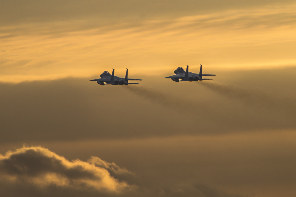 新田原基地航空祭（2019）にて