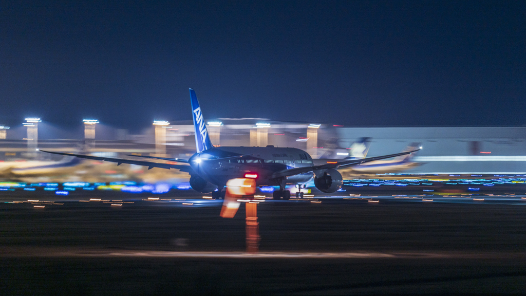さくらの山公園より