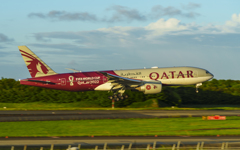 FIFA WORLD CUP QATAR2022