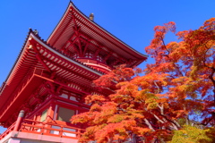 成田山新勝寺