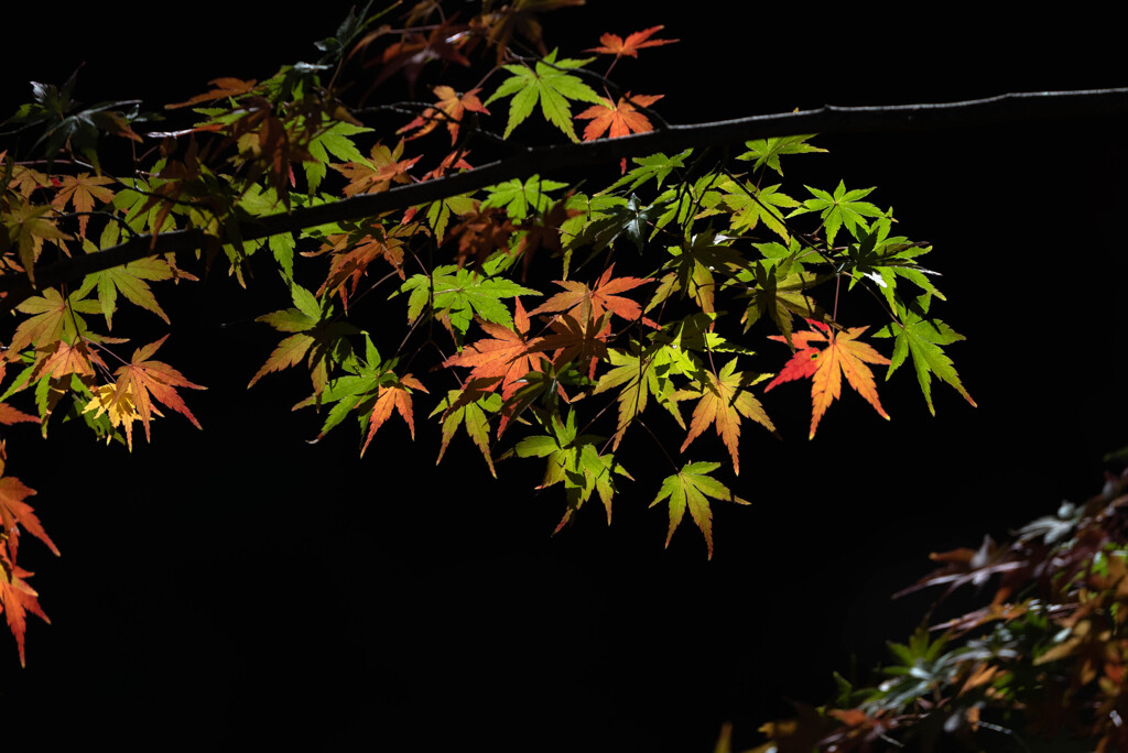 成田山新勝寺