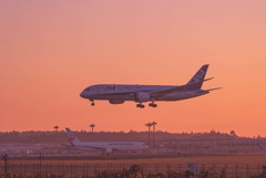 成田空港