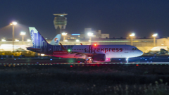 さくらの山にて