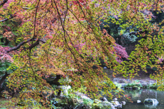 錦秋成田山