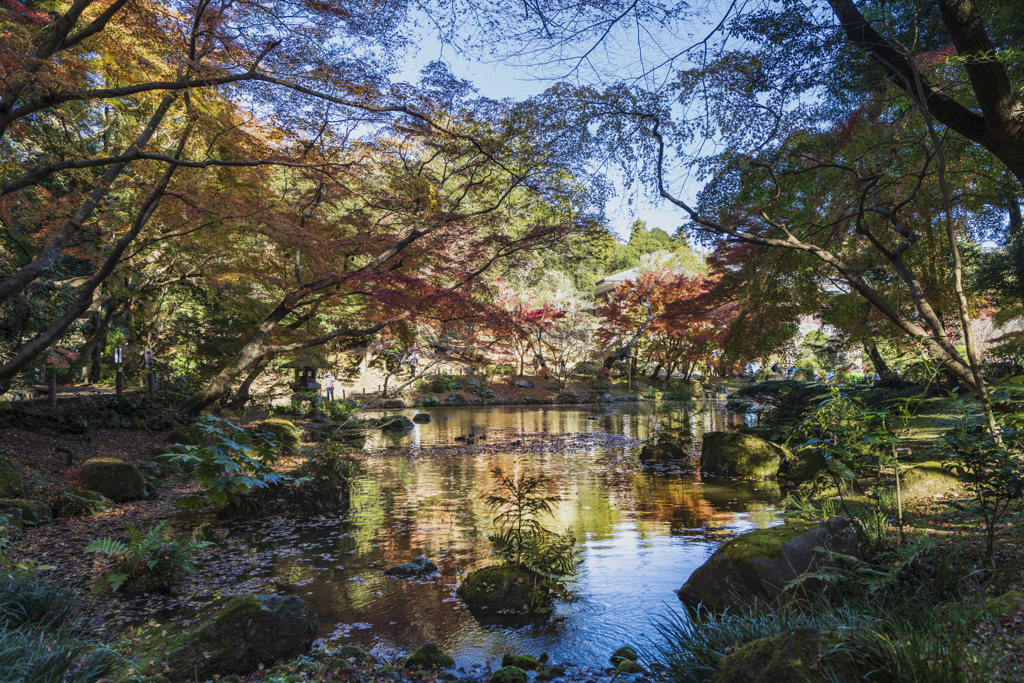 昨年の紅葉（成田山新勝寺）