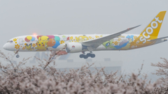 ピカチュー桜