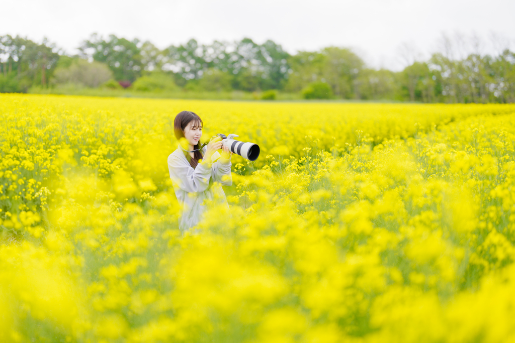 菜の花畑で