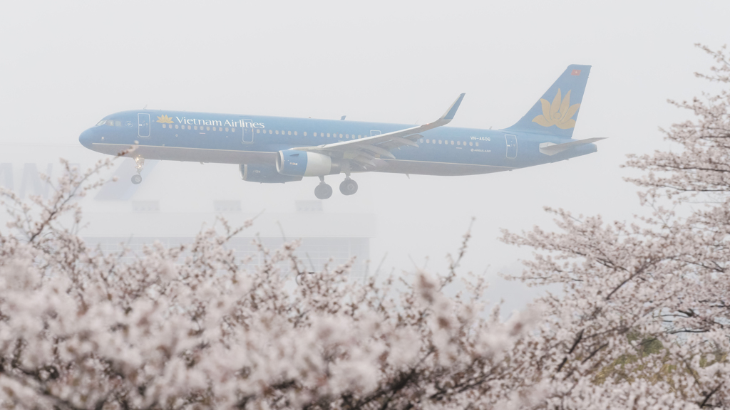 ベトナム航空