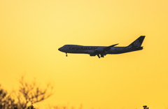 CARGOLUX