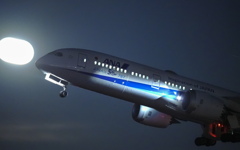 ANA's 50 787