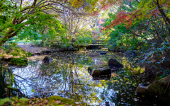 昭和記念公園にて