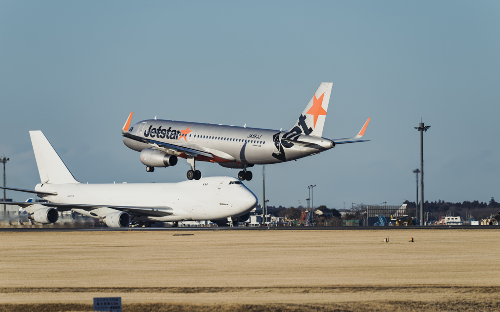 「蹴るんじゃねー　いて―ぞ」　と白ジャンボ曰く