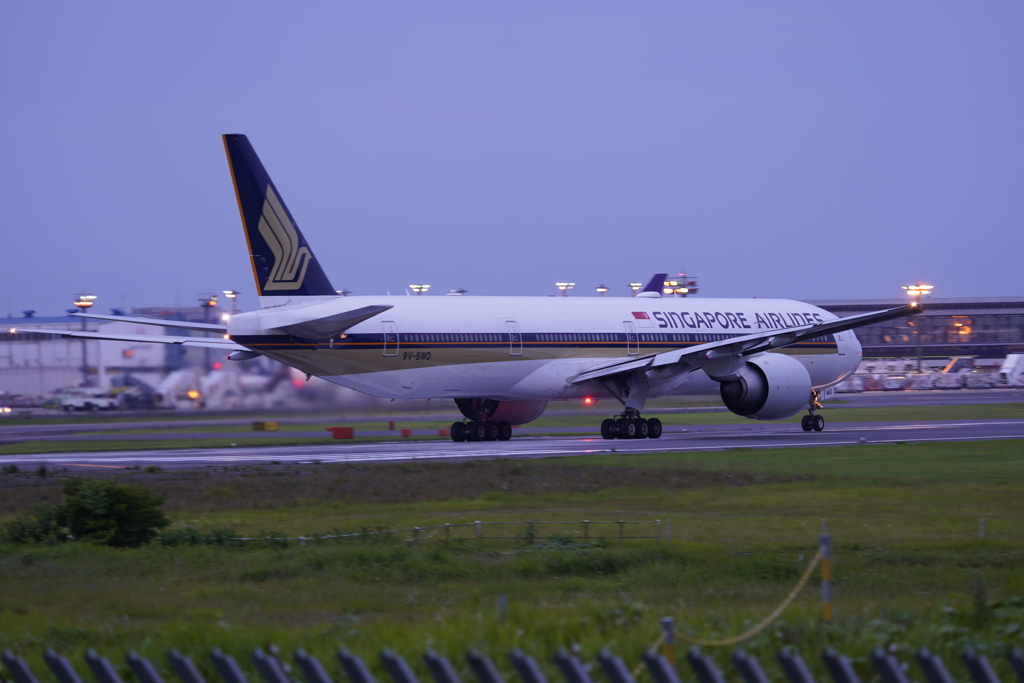 成田空港　さくらの山より