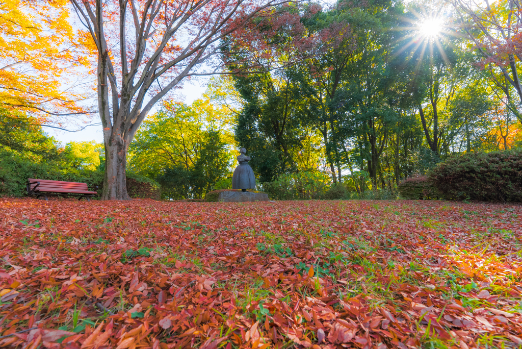 昭和記念公園にて