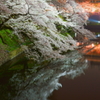 皇居の桜（千鳥ヶ淵）蔵出しです