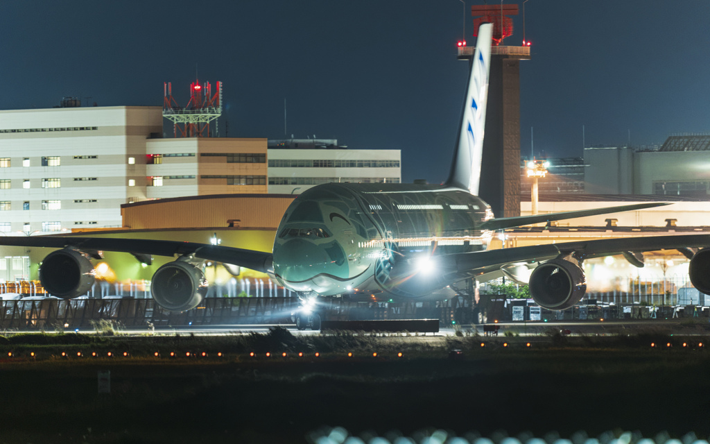 さくらの山公園より