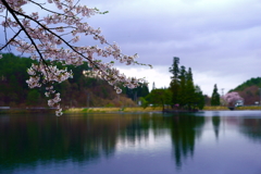 山里の桜(蔵出しです) 山里の桜(蔵出しです)