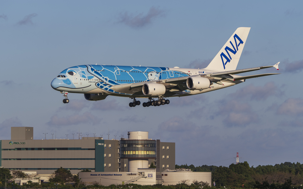 ラニ君　北海道周遊帰り