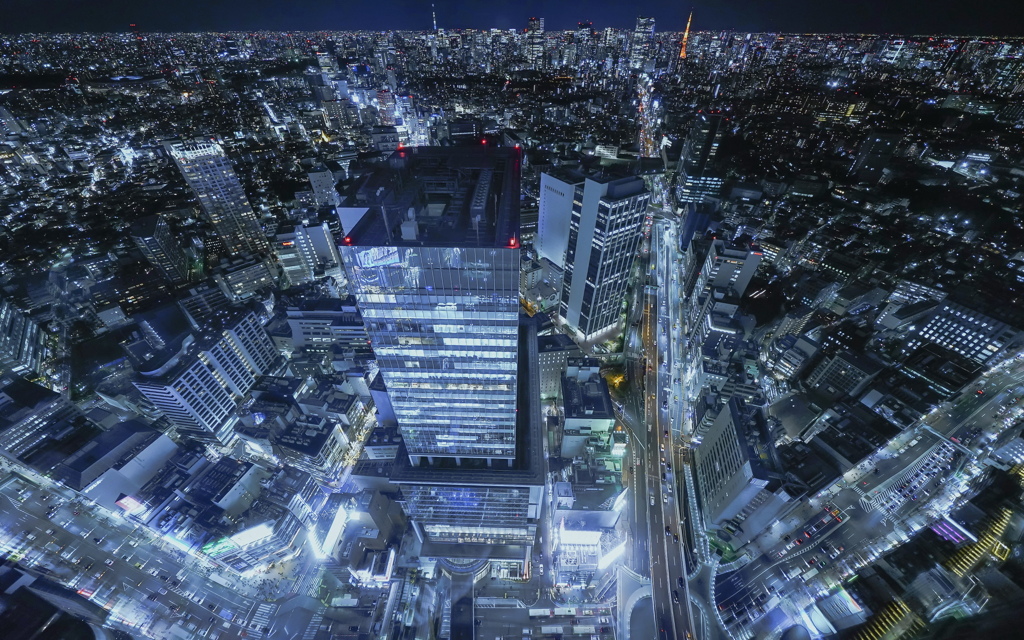 夜景