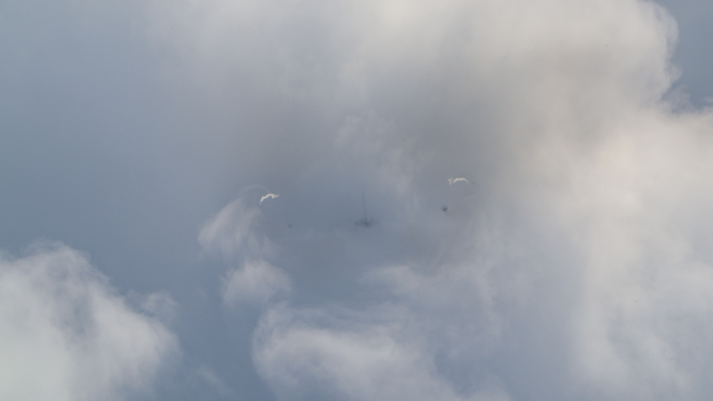 Scandinavian Airlines System